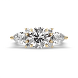 The Minerva Ring - Round